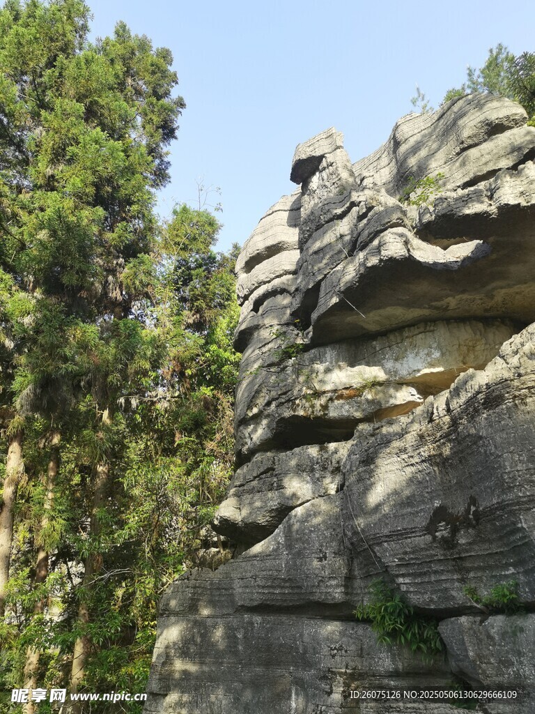 岩石