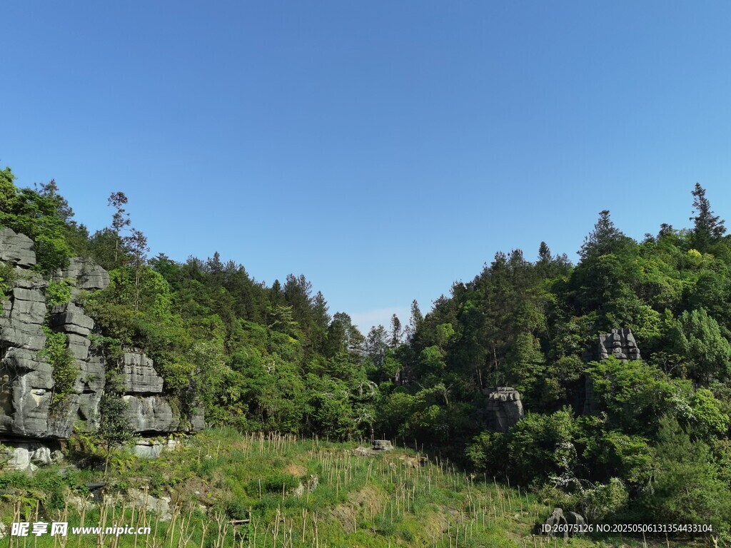 山林