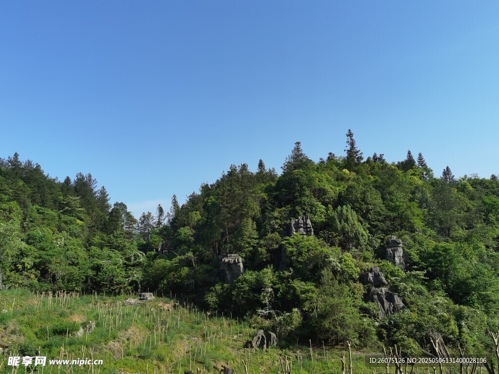 大山