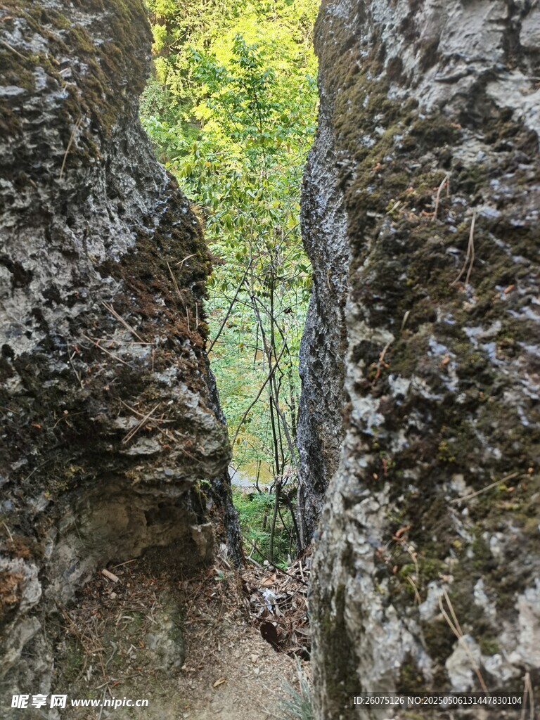 石缝