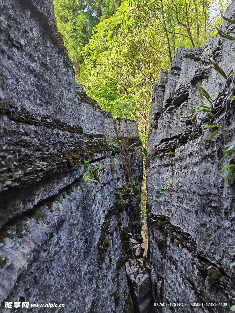 岩石