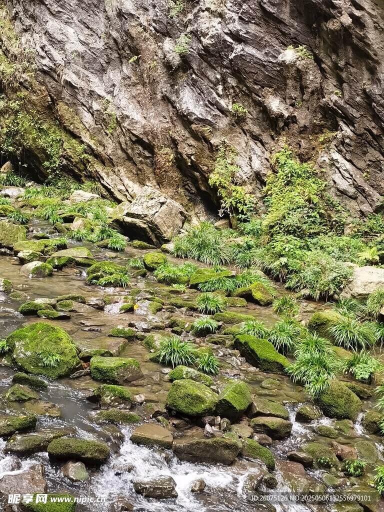 溪流