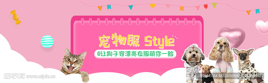 宠物摄影活动宣传海报