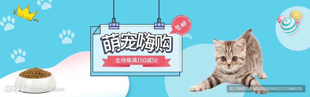 可爱猫咪与宠物用品展示