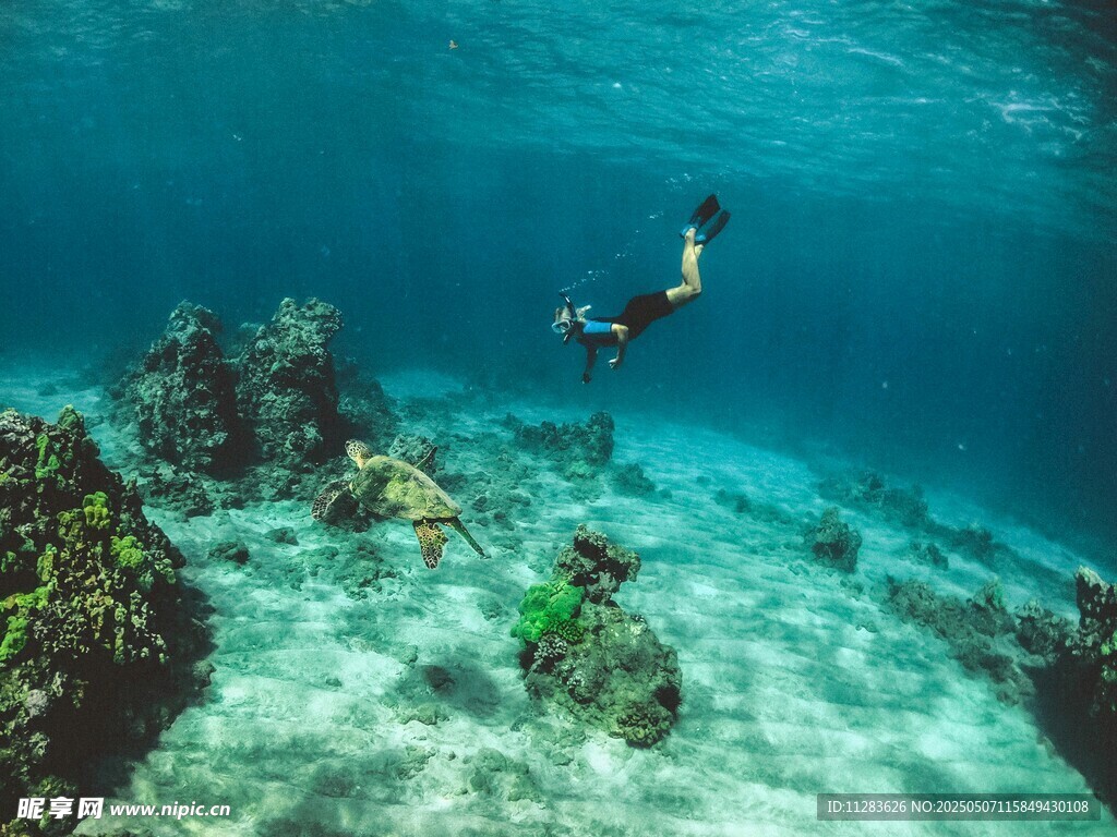 海底潜水者与美丽珊瑚礁