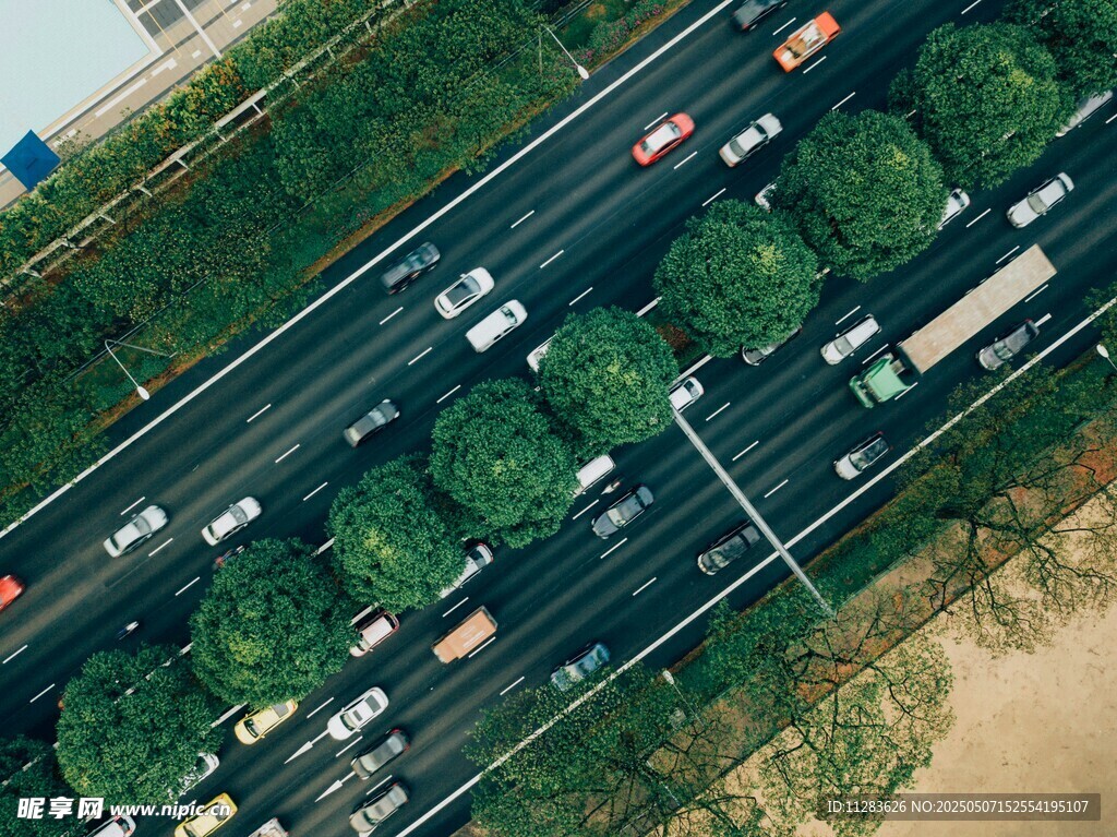 城市道路车流与绿植景观