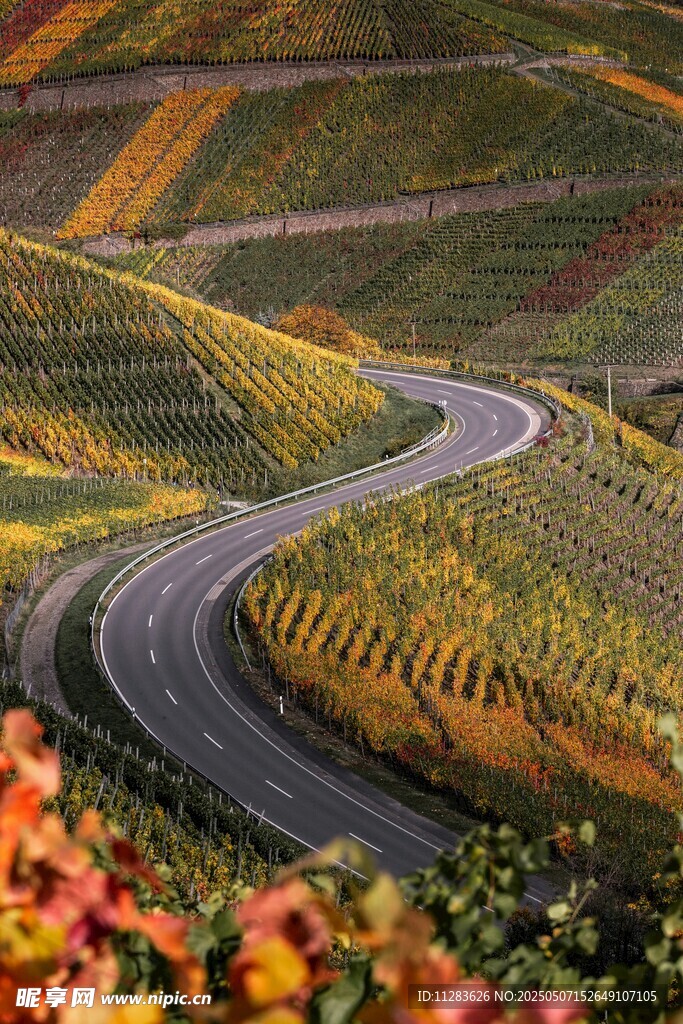 蜿蜒公路穿行多彩田园