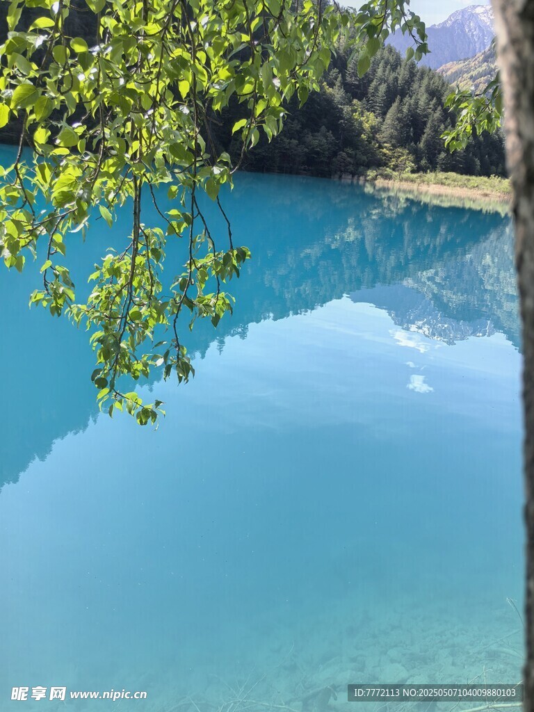 九寨沟 清澈蓝湖与岸边绿树美景
