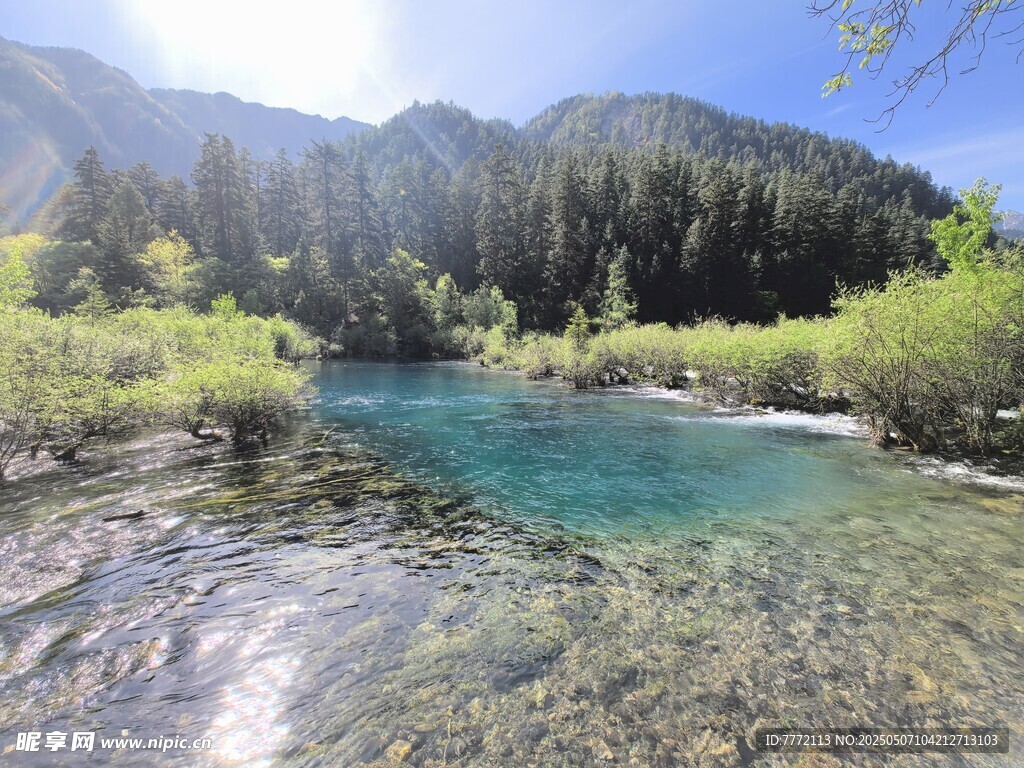 山间清澈溪流美景