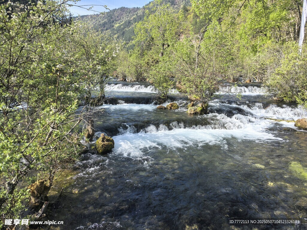 九寨沟 山间溪流潺潺绿意环绕
