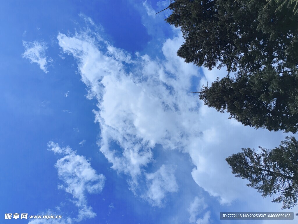 蓝天绿树间的白云美景