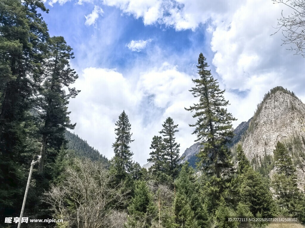 九寨沟 山林间的巍峨山峰