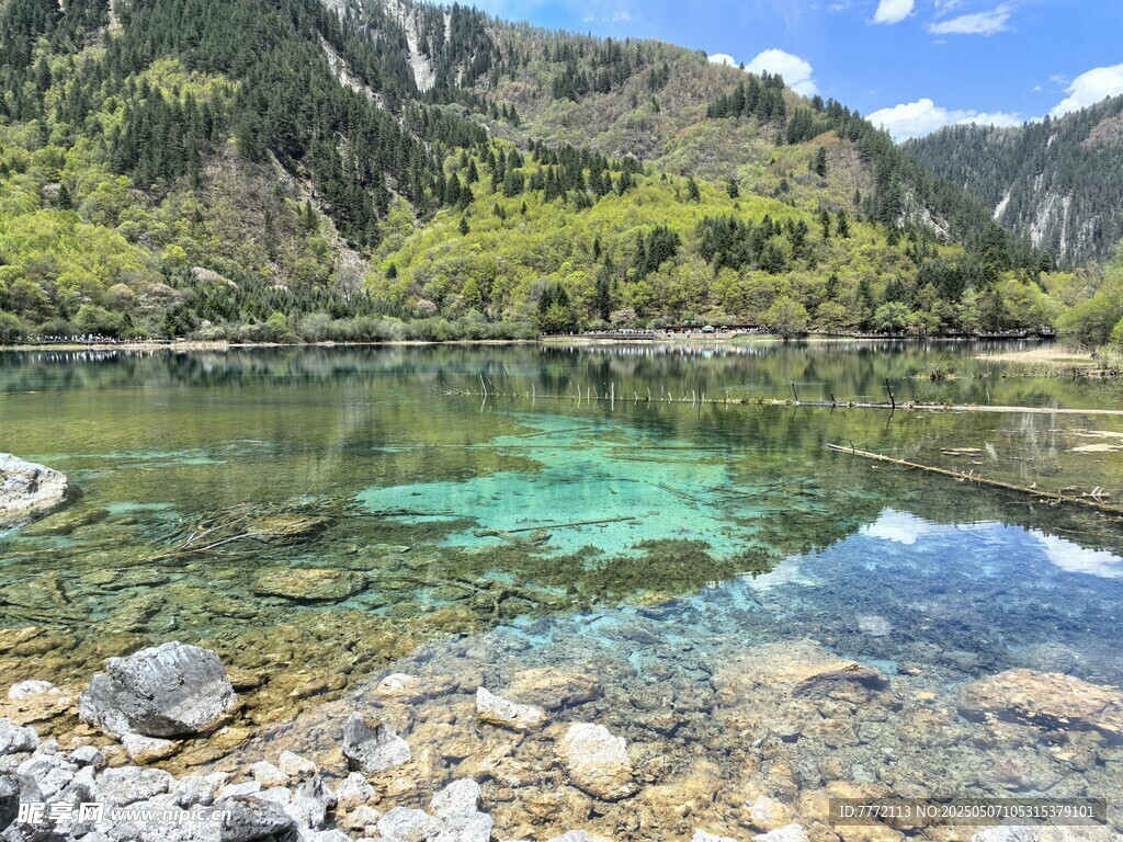 九寨沟 清澈山间湖景 自然之美