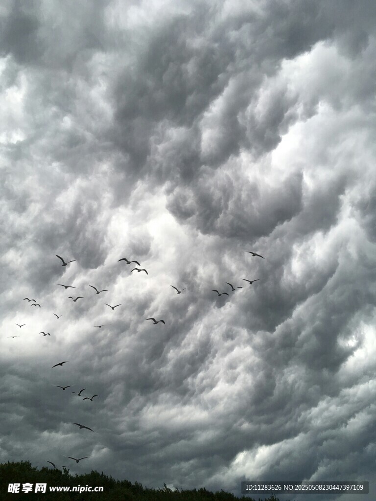 壮观积雨云景象
