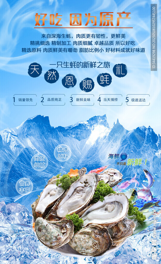 新鲜海产 开启美味海洋之旅