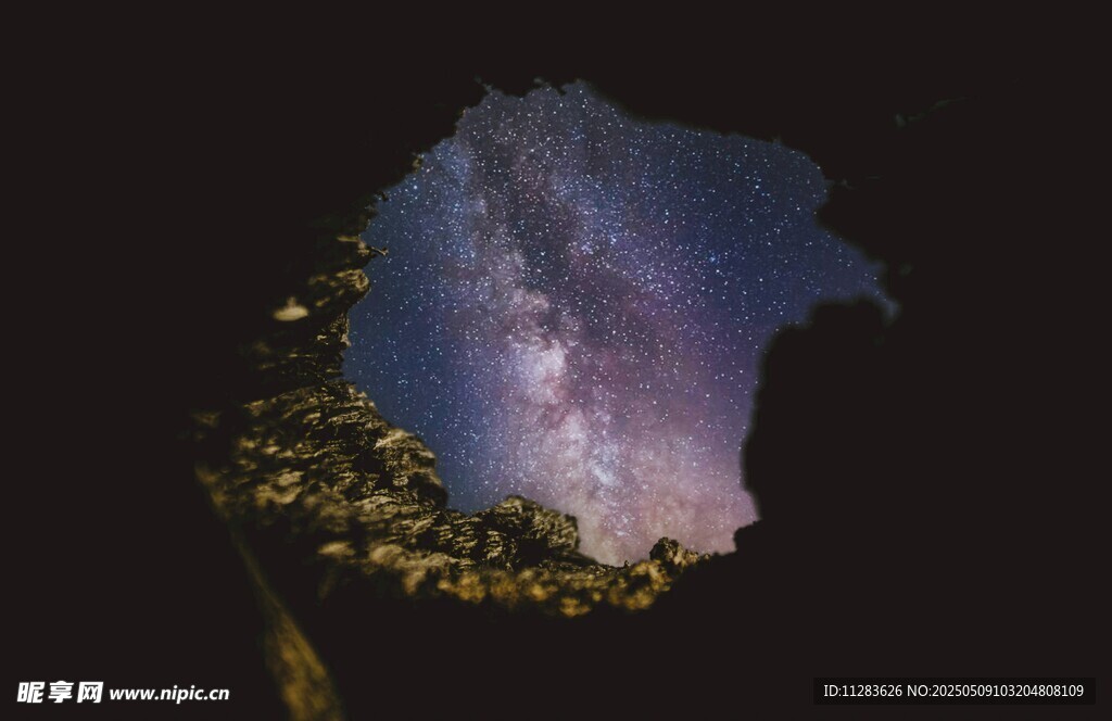 夜空下的树洞星空美景