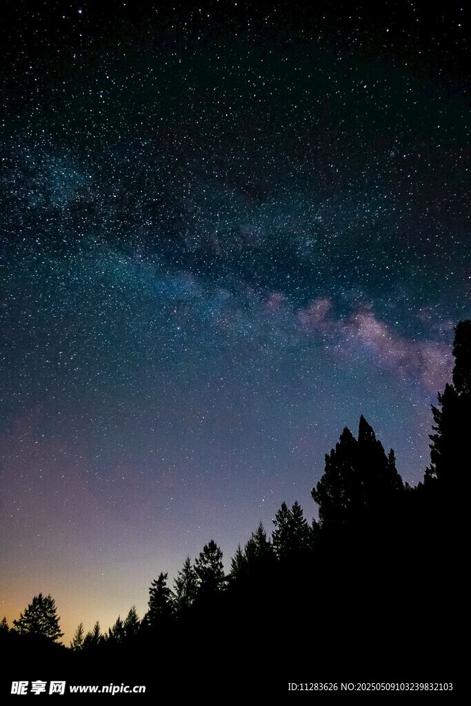 夜幕下的森林与璀璨星空