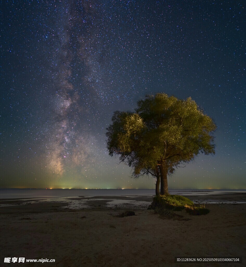 星空下的孤树