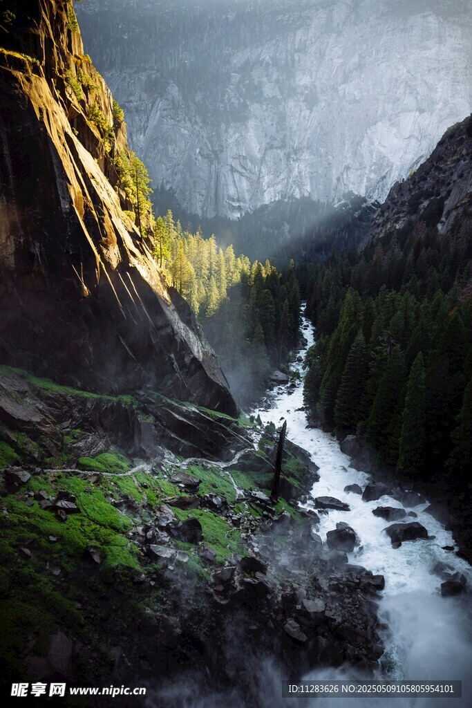 山间溪流的静谧自然景致