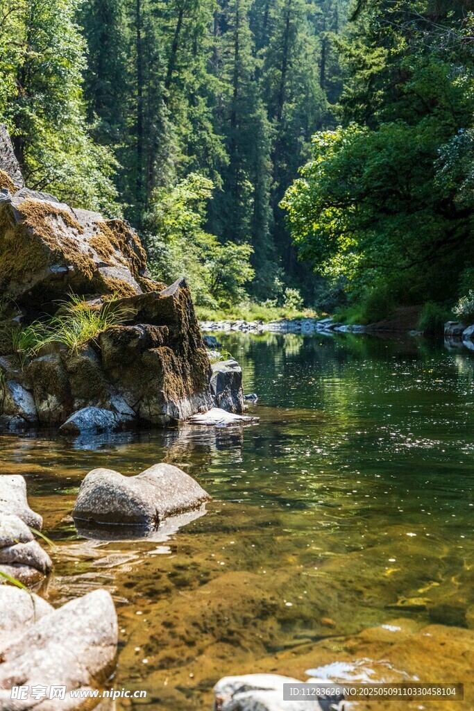 山间清澈溪流与茂密树林