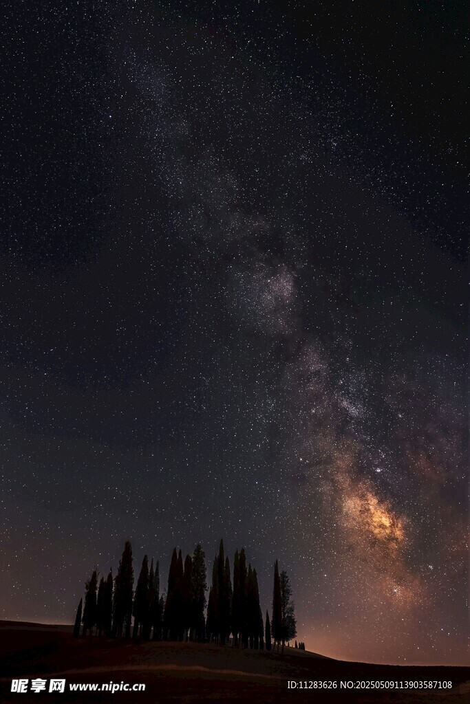 夜空下的森林与璀璨星河