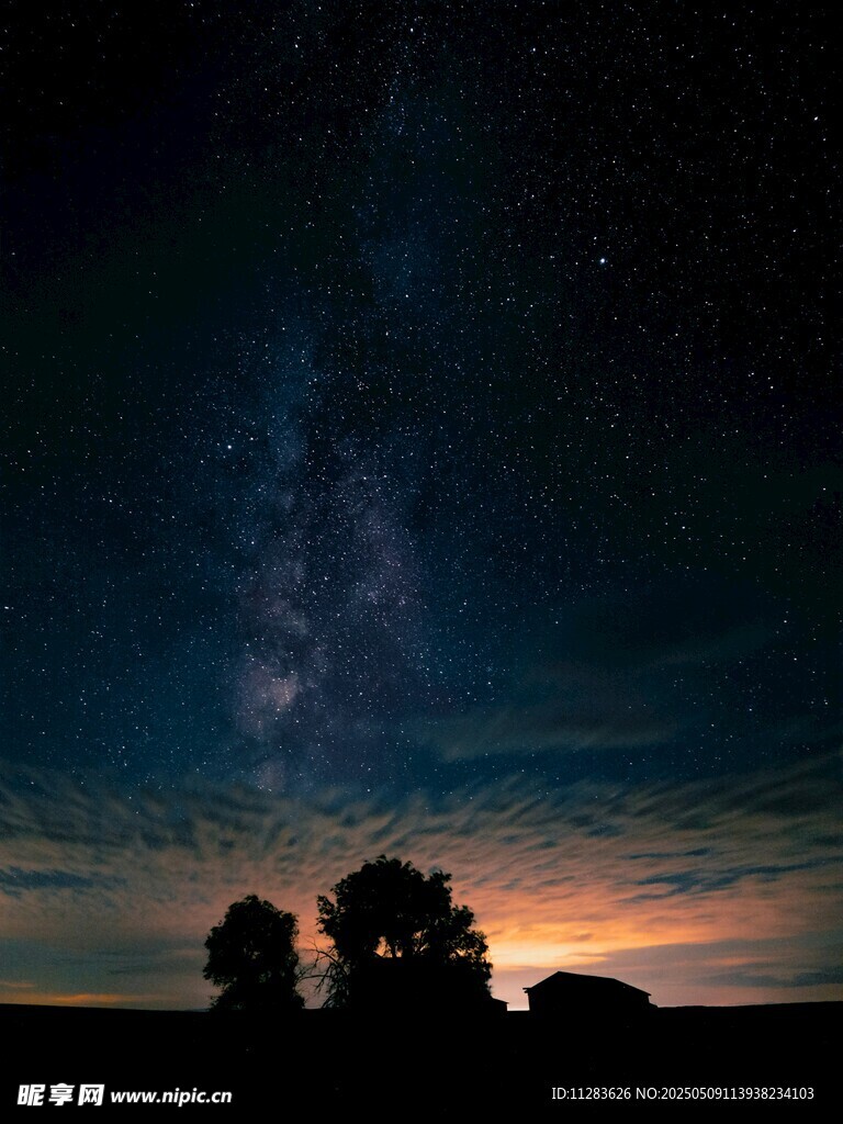 夜幕下的星空与树木剪影