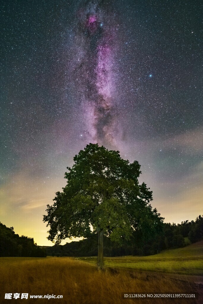 夜空下的孤树与璀璨星河