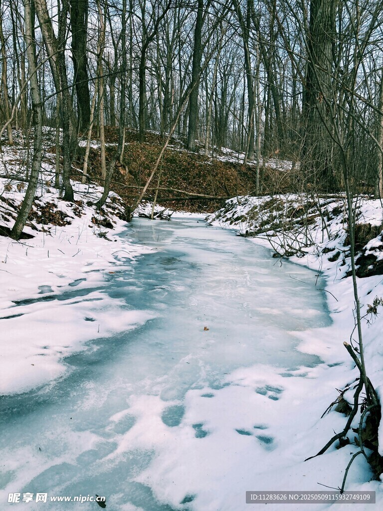 冬日冰封小溪雪景图
