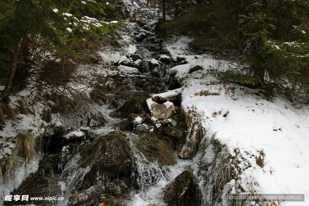 雪覆溪流 山林间的灵动景致