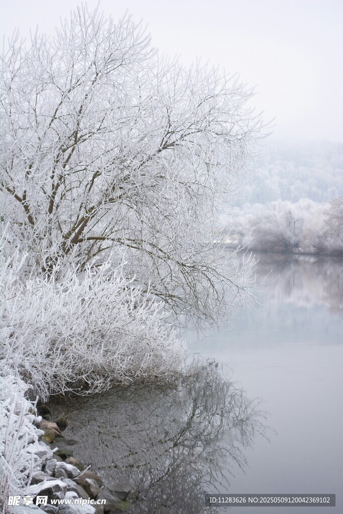 冬日河岸雪景
