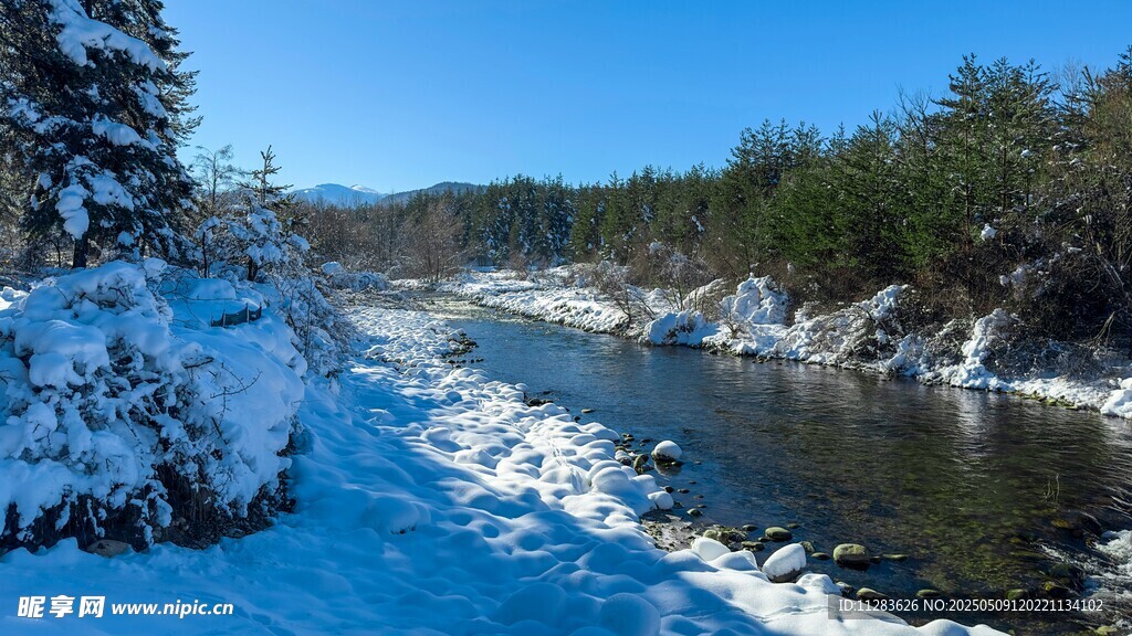 冬日河畔雪景