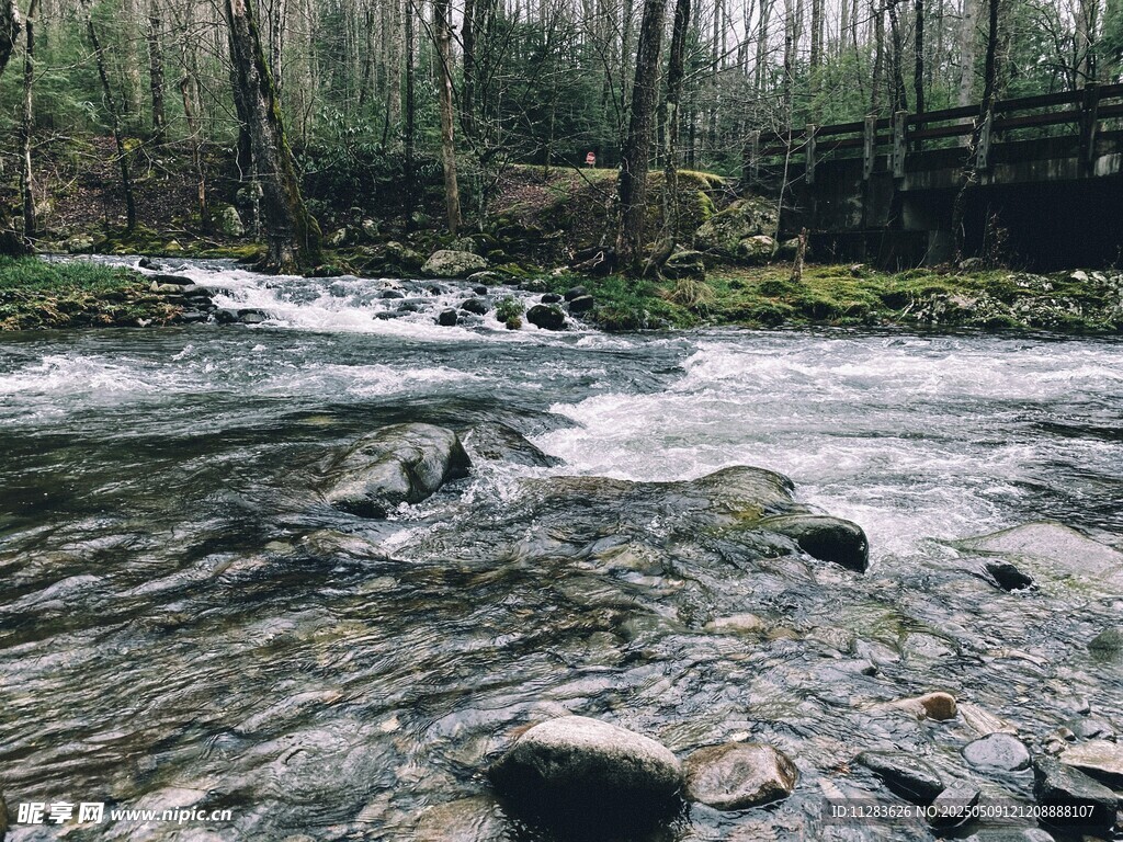 山间溪流潺潺风景如画