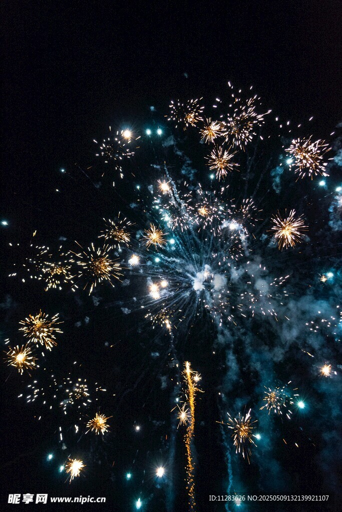 夜空中绚烂的烟花绽放
