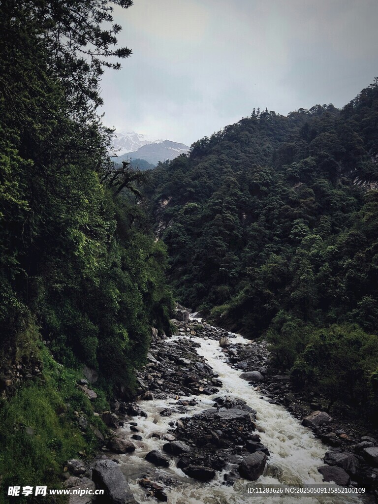 山间湍急溪流穿林而过