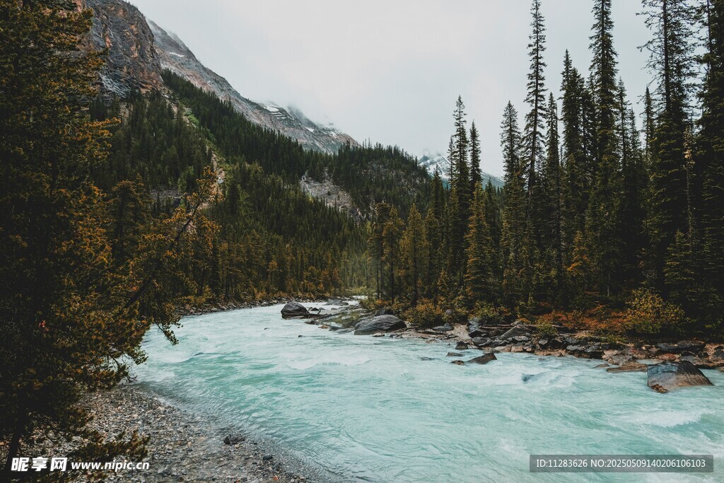 山间碧流穿林而过