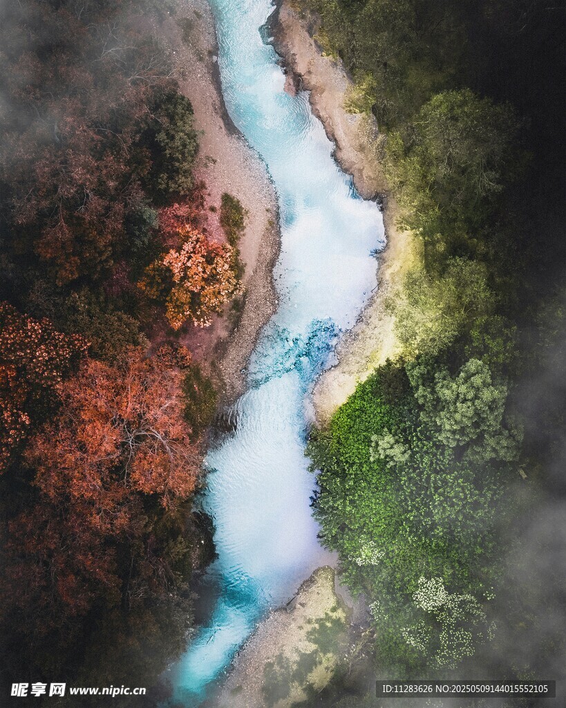 山间蓝溪穿林而过