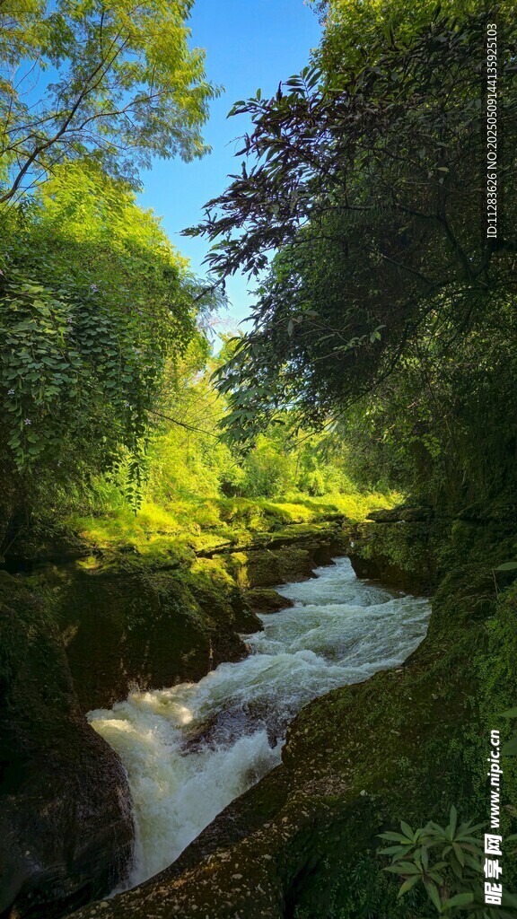 山间溪流绿意盎然的美景