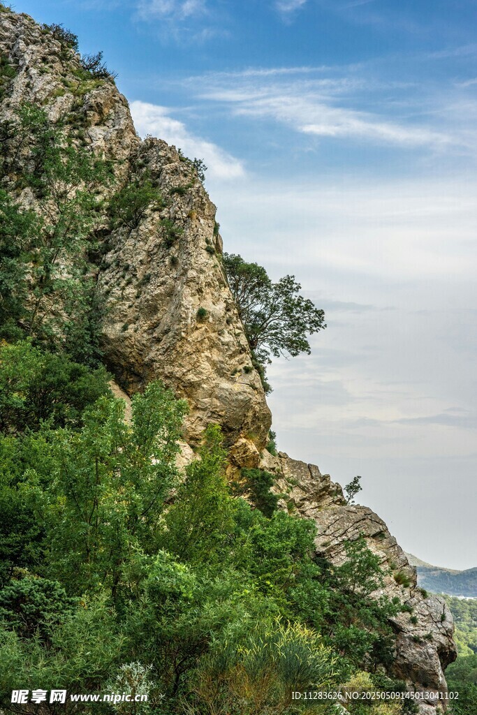 峻峭山崖旁的葱郁绿植
