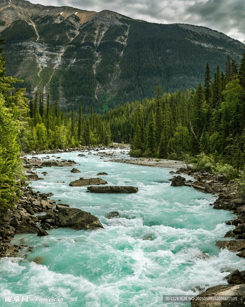 山间湍急的碧色溪流
