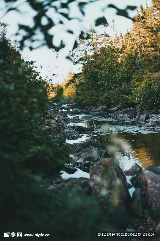 林间溪流美景