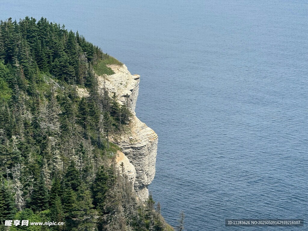 悬崖边的葱郁山林与大海