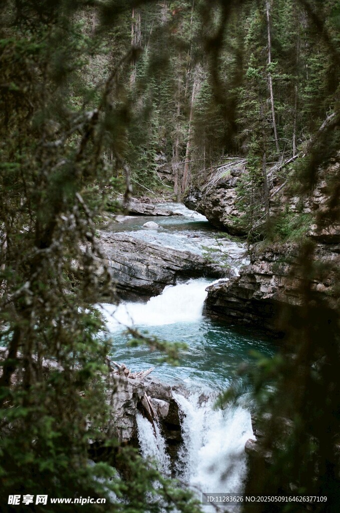 林间溪流潺潺美景