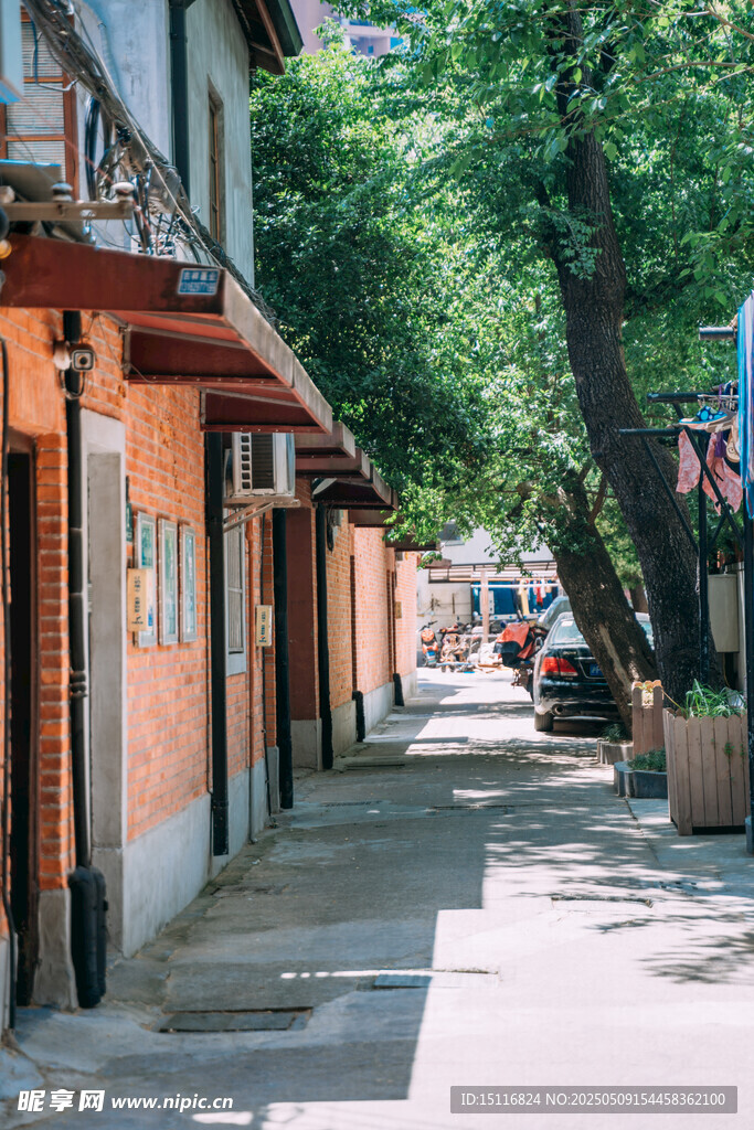 宁静街道旁的建筑与绿树
