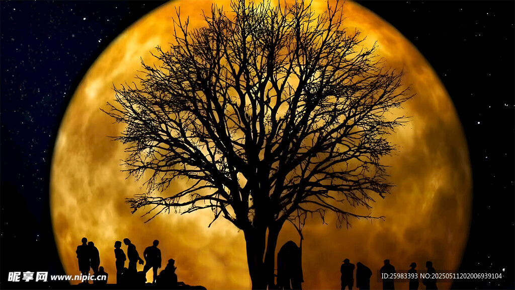 月夜下的枯树