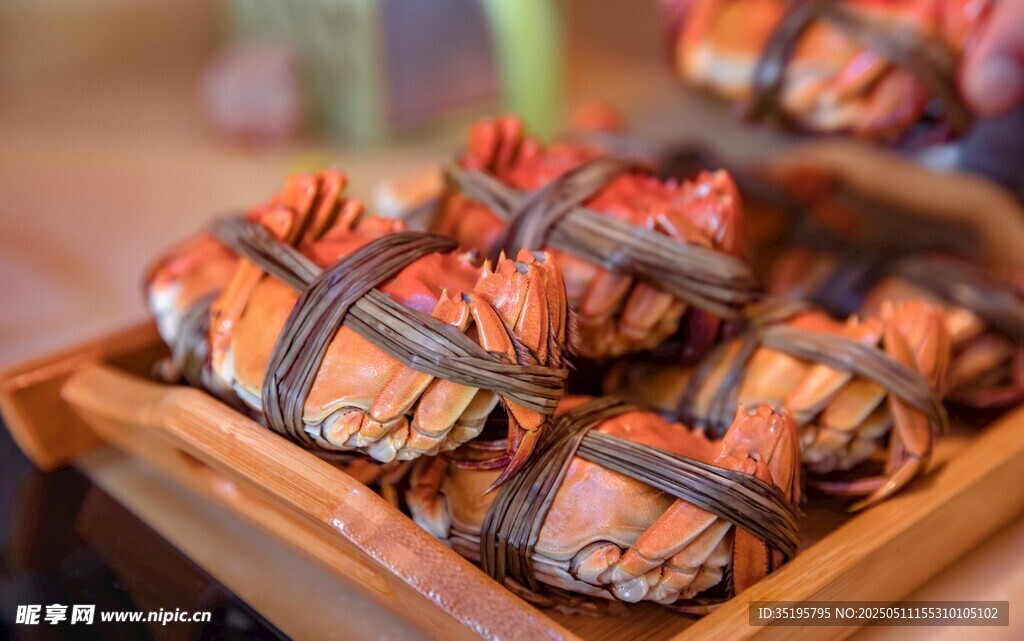 美味捆绑大闸蟹待品尝