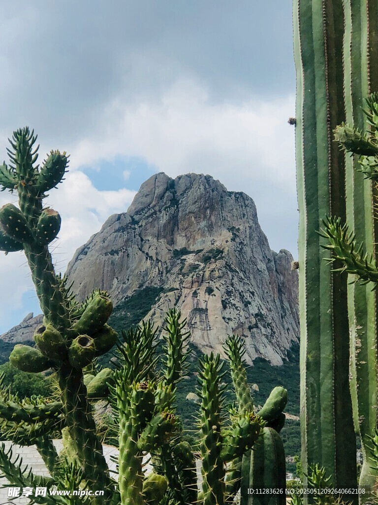 山间仙人掌与巍峨岩石景观