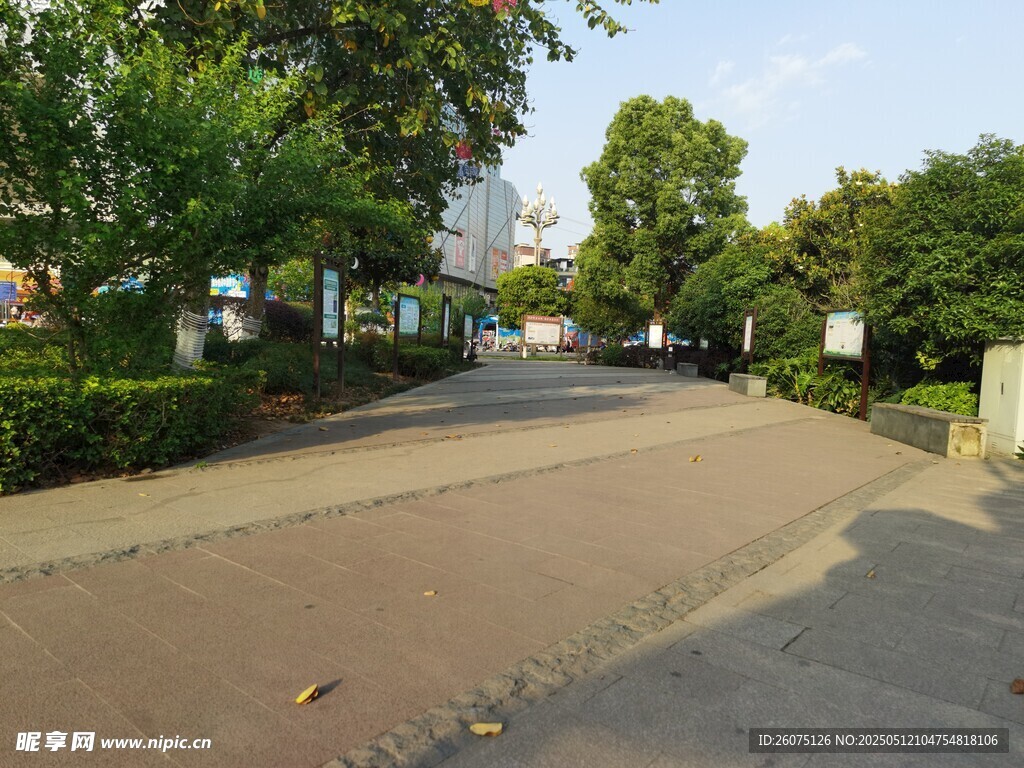 公园路面