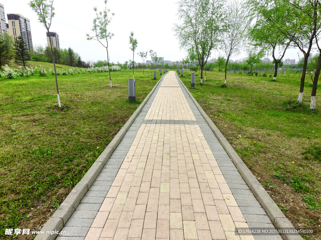 公园中的砖石铺就林荫小道