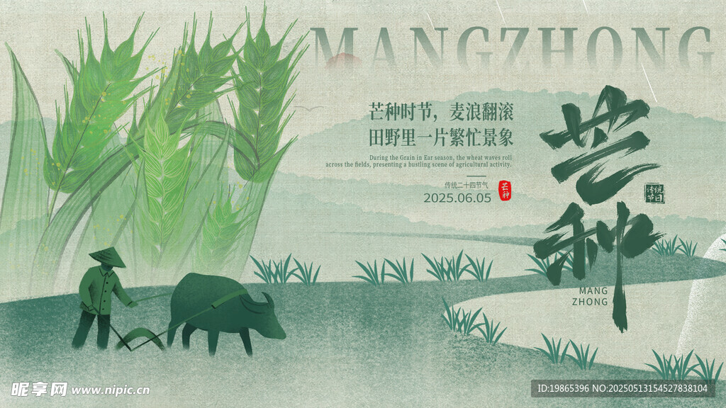 二十四节气芒种横板海报