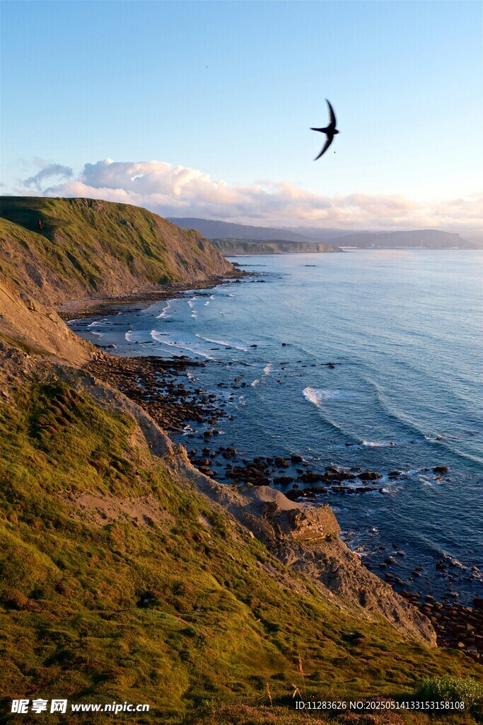 海岸风光燕子飞翔